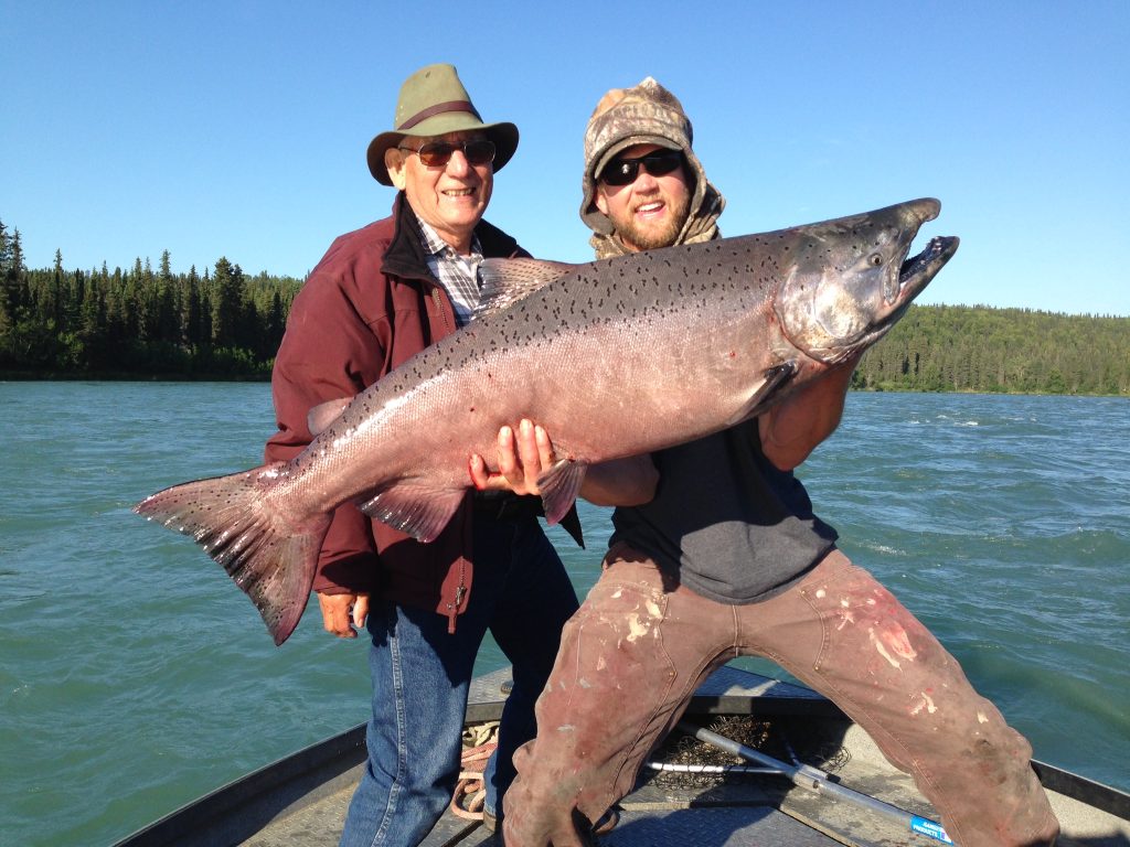 King Salmon Fishing Alaska Kenai River King Salmon Charter Runs