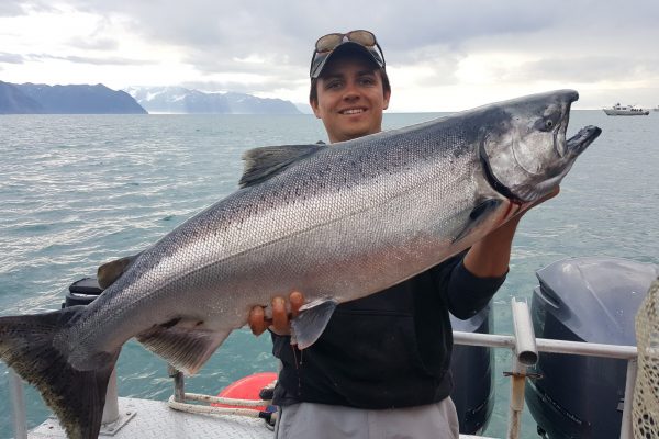 Alaska King Salmon Fishing Trips