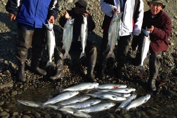 Alaska Sockeye Salmon Fishing Trips