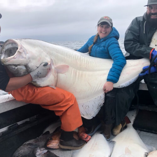 3 people barely holding a giant fish