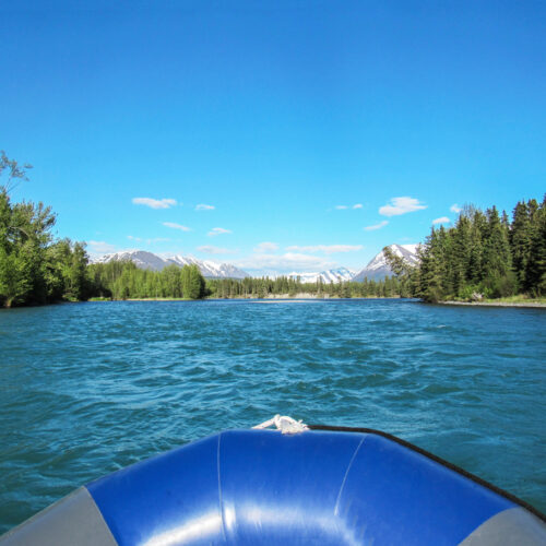 Kenai Rafting 2