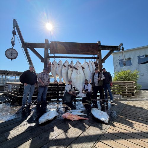 Six men standing and kneeling beside a row of large halibut hanging from a wooden fish rack on a sunny dock in Seward, Alaska, with more halibut, salmon and an orange rockfish on the deck in front.