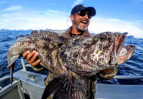 Ling Cod Fishing