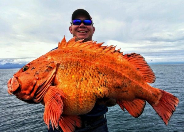 Alaska Yellow Eye Fishing Trips